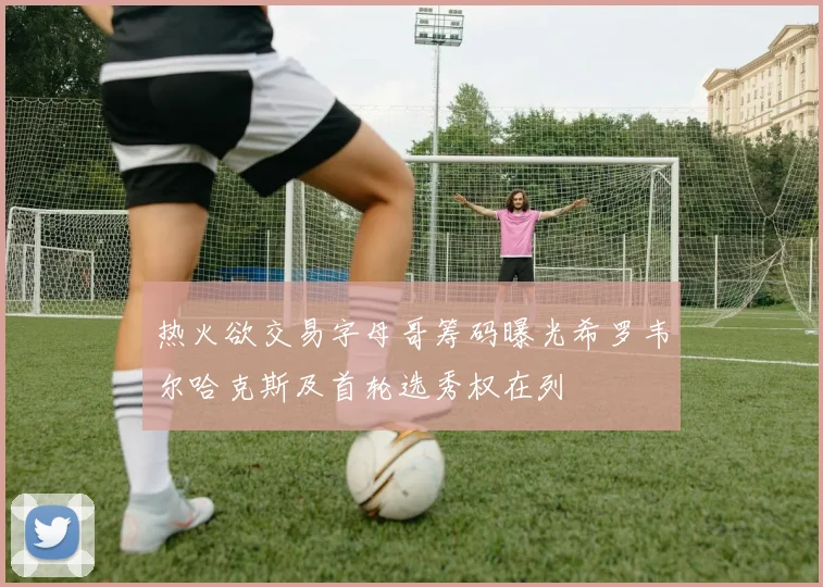 热火欲交易字母哥筹码曝光希罗韦尔哈克斯及首轮选秀权在列