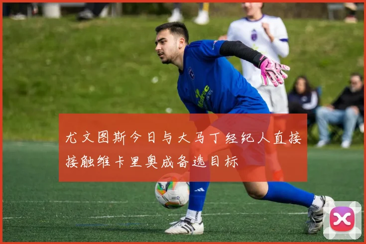 尤文图斯今日与大马丁经纪人直接接触维卡里奥成备选目标