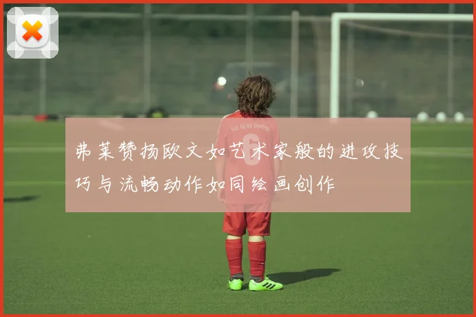 弗莱赞扬欧文如艺术家般的进攻技巧与流畅动作如同绘画创作